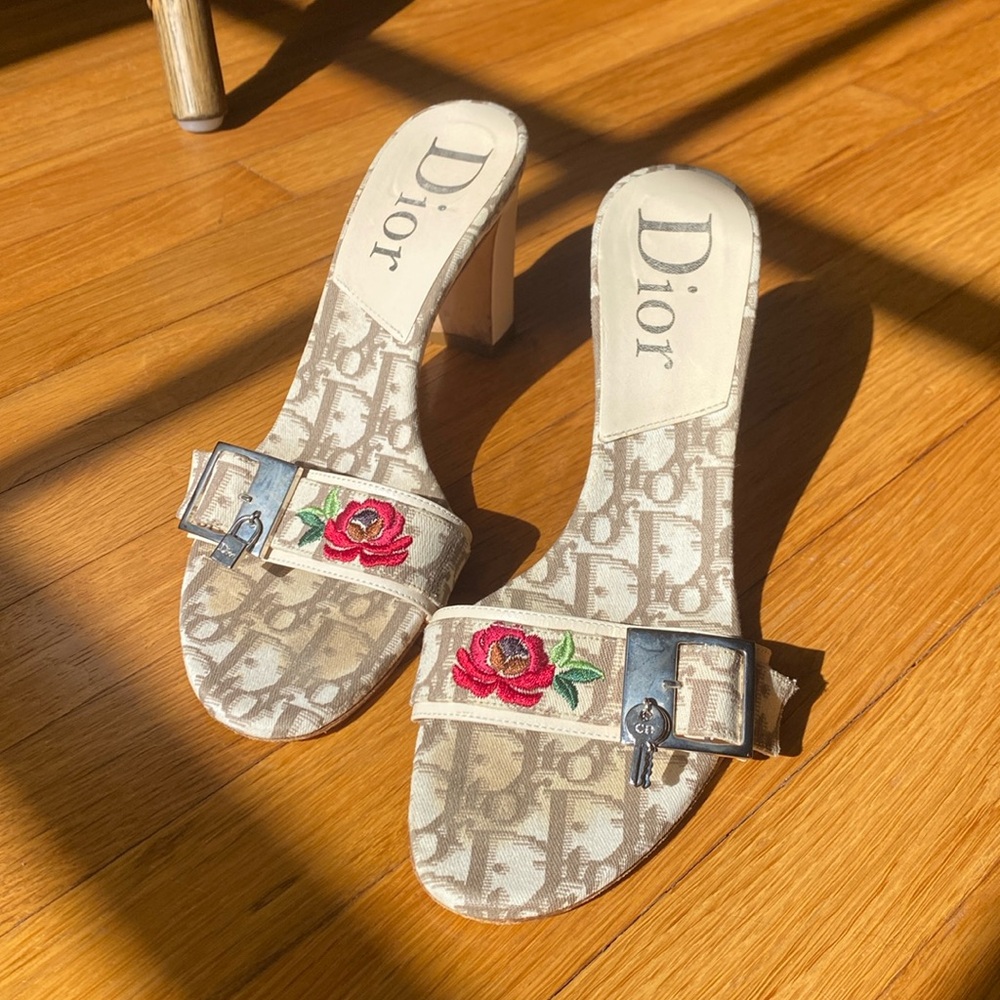 Christian Dior embroidered heels